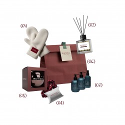 Новорічний набір антижовтизна для блондинок Raywell B.IO Blond Max