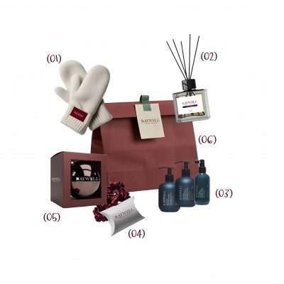 Новорічний набір для об’єму тонкого волосся Raywell B.IO Volume Max